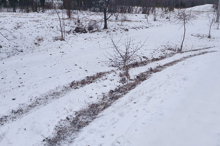 Парк культуры и отдыха в Абакане атаковали варвары на квадроциклах 