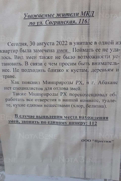 В унитазе одной из квартир Абакана обнаружили змею