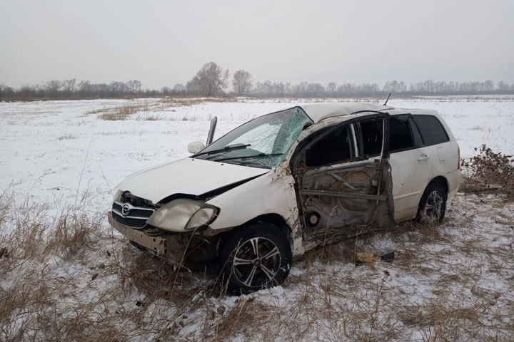 На трассе Абакан - Ак-Довурак Toyota Corolla Fielder врезалась в дерево 