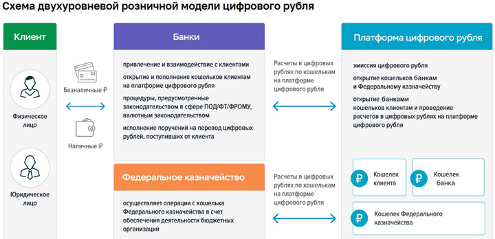 Жители Хакасии смогут пользоваться цифровыми рублями. Что это такое