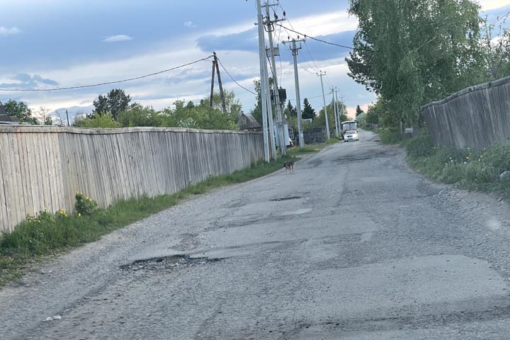 Дачники садового общества «Подсинее» ждут ремонта дорог