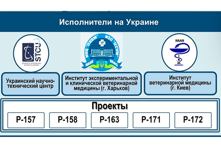 «Болезнь X» страшнее ковида. Для русских приготовили смертельную эпидемию