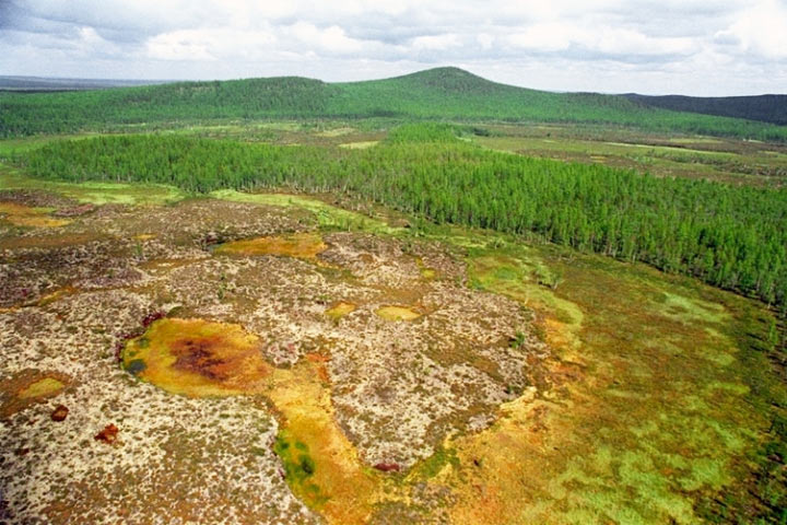 Тунгусский метеорит не улетел обратно в космос, а был сбит противоракетой