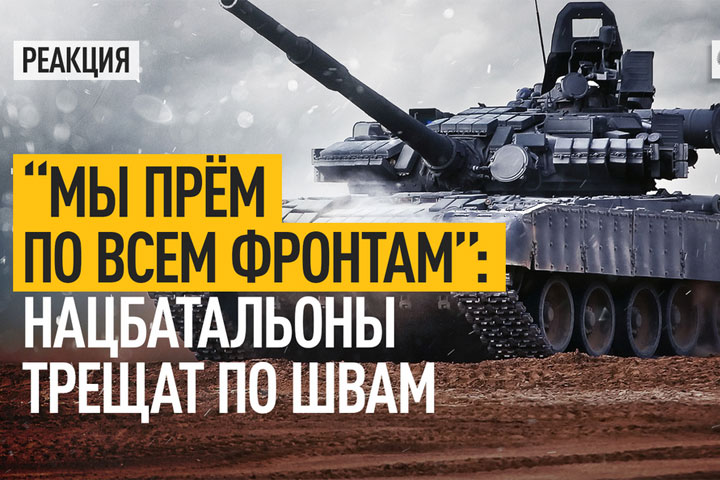 «Мы прём по всем фронтам»: Нацбатальоны трещат по швам. ВИДЕО