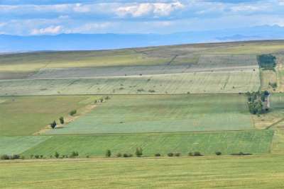 Сельское хозяйство