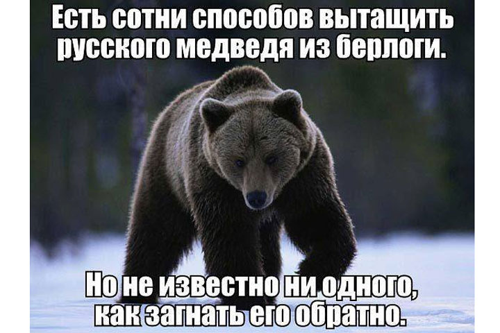 «Я знаю сотни способов вытащить русского медведя из берлоги, но ни одного, чтобы загнать его обратно»