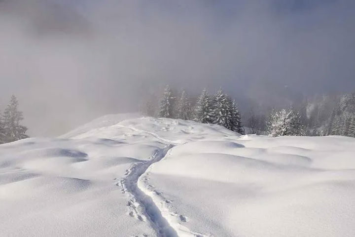 Что нельзя делать в Макарьев день