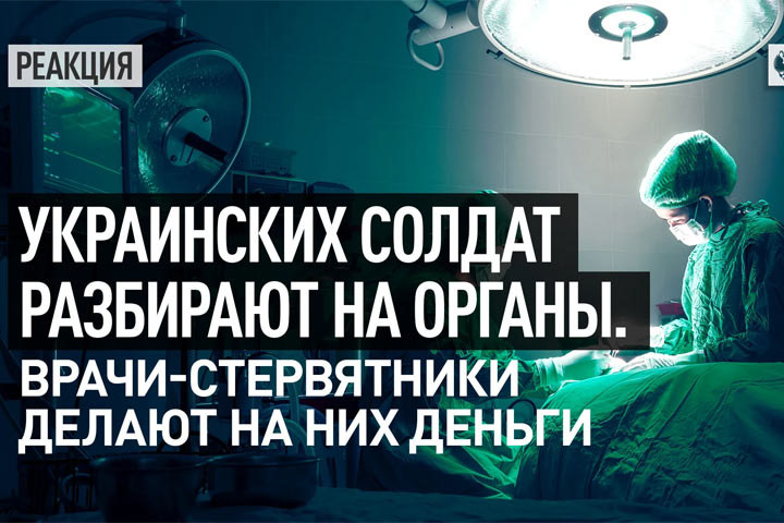 Украинских солдат разбирают на органы. Врачи-стервятники делают на них деньги