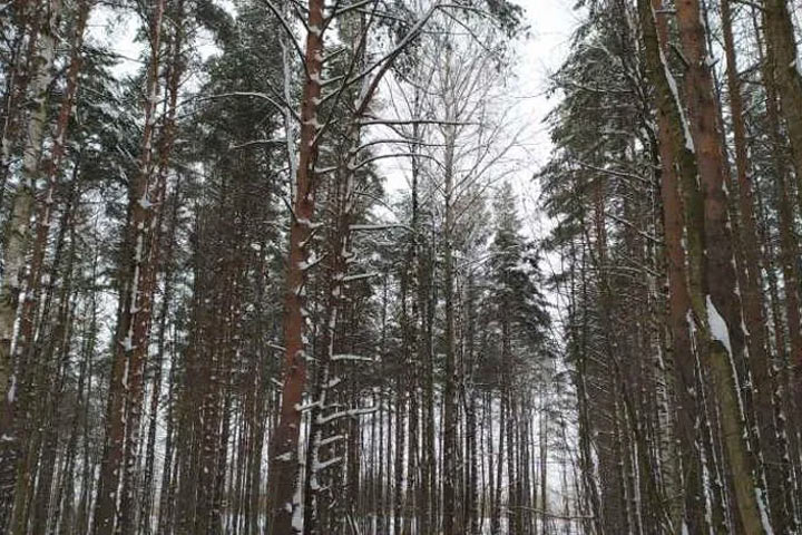 Что нельзя делать в Кириллов день