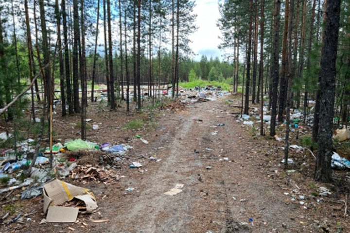 Малолетние дети получили ожоги, гуляя на свалке