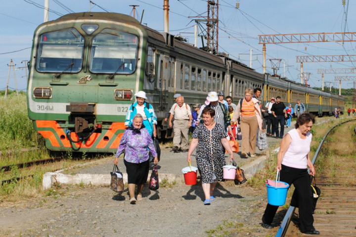 Будем выживать на дачах