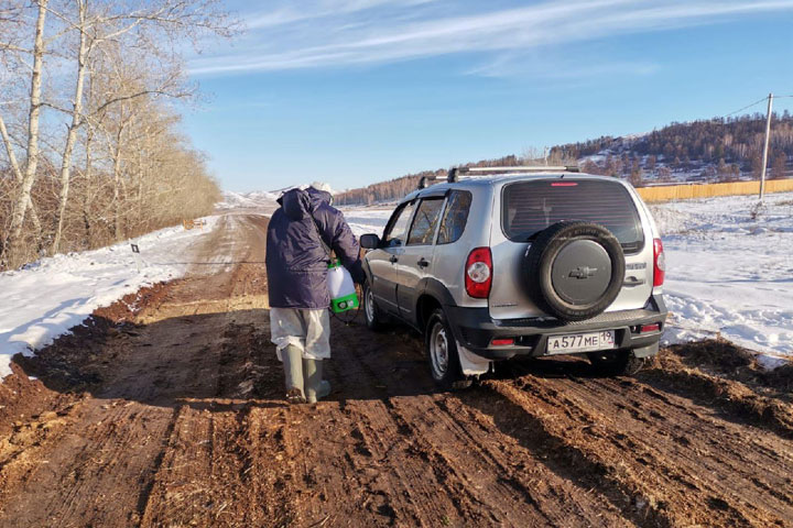 В Аскизе выявили 28 очагов узелкового дерматита