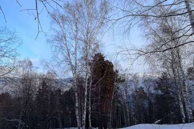 Погода в Хакасии