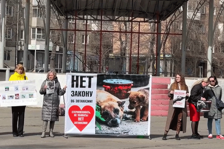 В Абакане проходит митинг зоозащитников