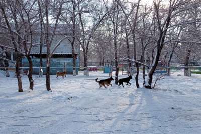 Верховный Совет РХ