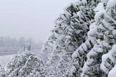 Черногорск