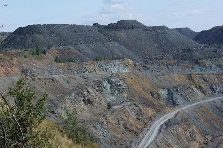 В Хакасии на угольных отвалах могут водиться зайцы и куропатки?