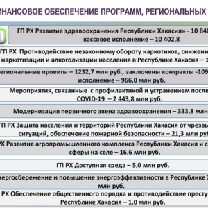 О чем конкретно министр здравоохранения доложил главе Хакасии