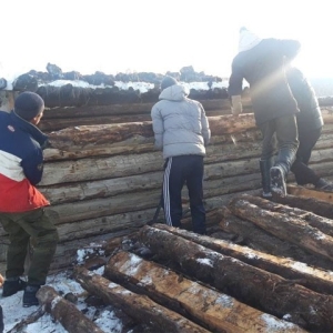 В отдаленном селе республики школьники выходят на трудовые десанты 