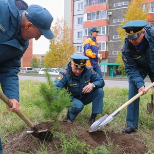 Министерства и ведомства Хакасии объединило общее дело - ФОТО