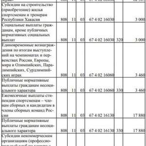 В новом проекте бюджета Хакасии нашлась строчка для «Саян»