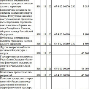 В новом проекте бюджета Хакасии нашлась строчка для «Саян»